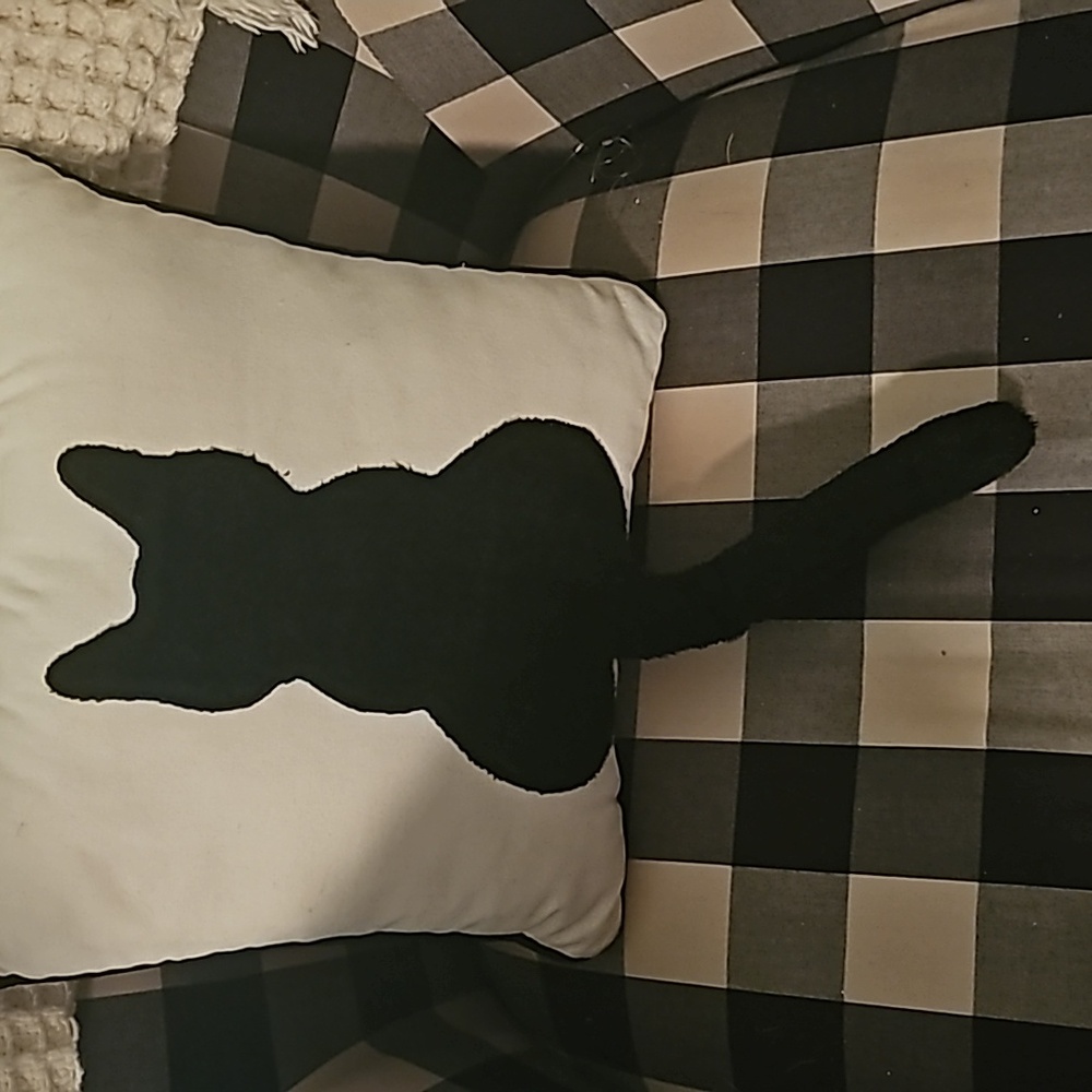 Pillows - Picture 5 of 6